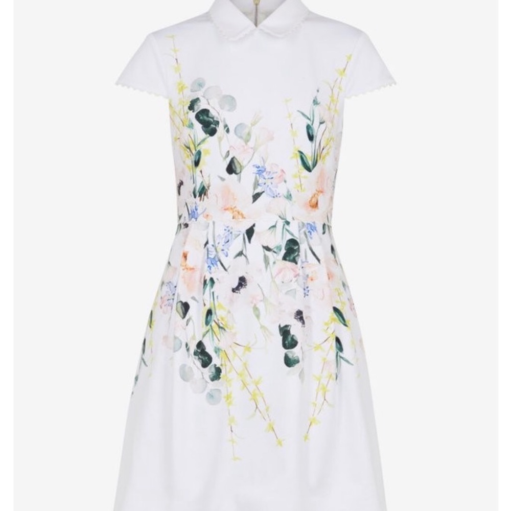 Ted Baker Dress